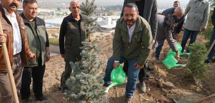 MHP DENİZLİ’DEN ‘BİZ KARDEŞİZ AĞAÇLARI’