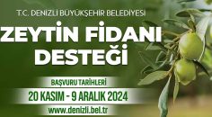 ÇİFTÇİLERE 50 BİN ZEYTİN FİDANI