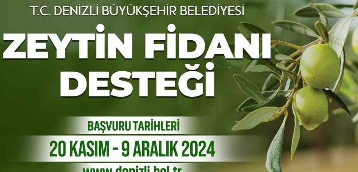 ÇİFTÇİLERE 50 BİN ZEYTİN FİDANI